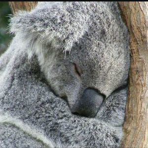 Meet your Posher, Jacqueline